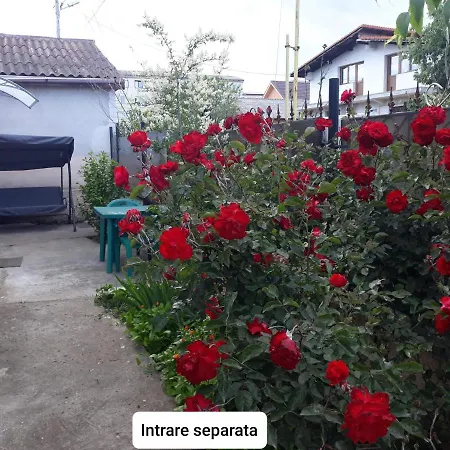 Apartmán La Curte Oana Mangalia